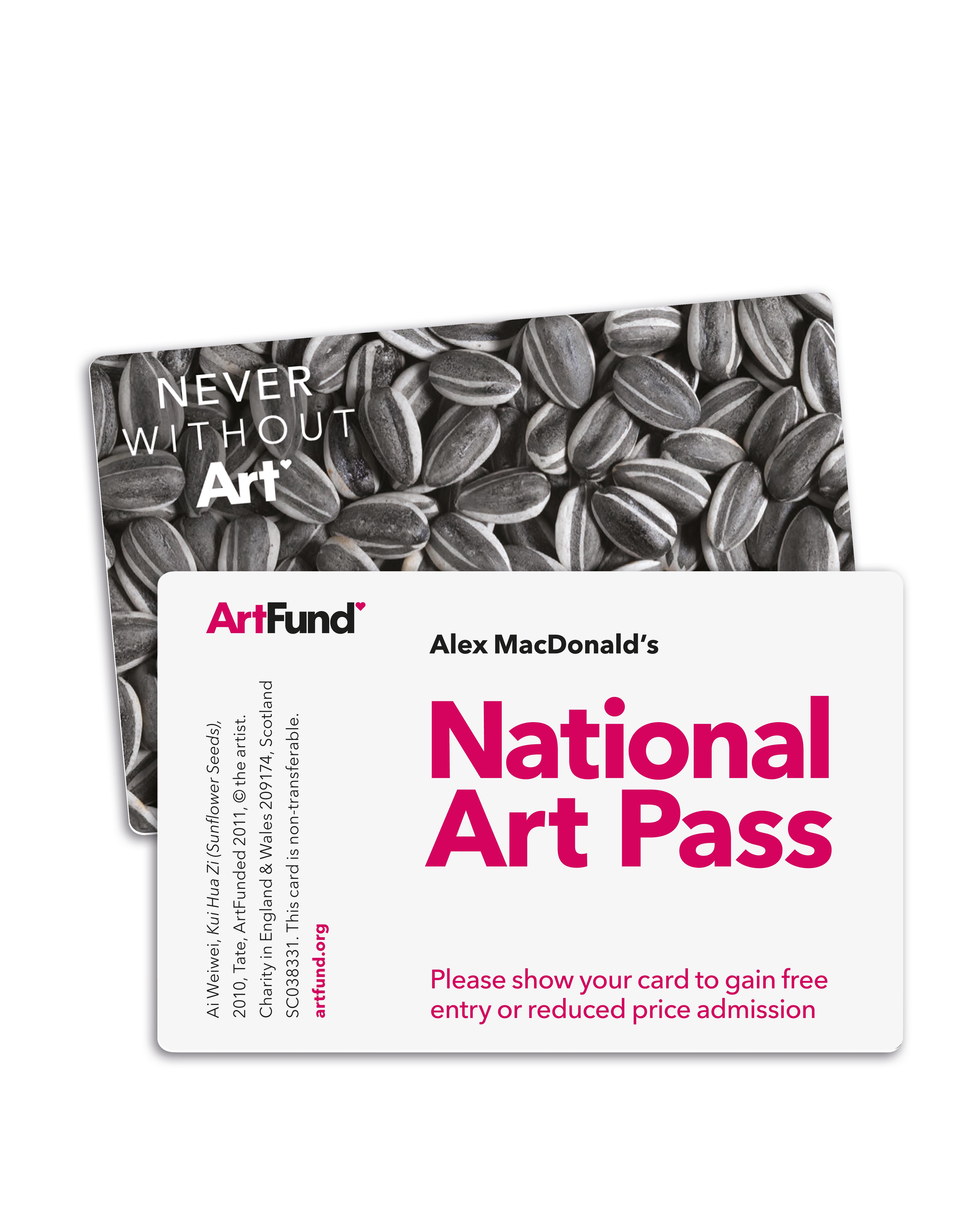 Free Student National Art Pass