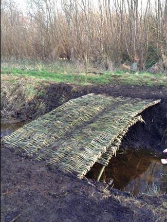 Living Willow Bridge, Cow Hollow Wood, Waterbeach: An innovative low impact solution to bridge building